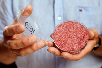 Carnes de Laboratório